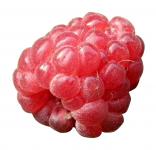 berry-raspberry-red-fruits-62668.jpeg